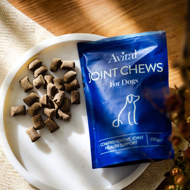 Avital Joint Chews