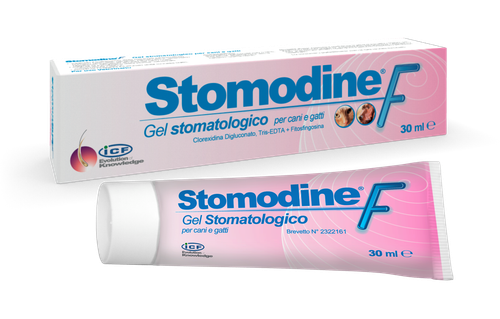 ICF Stomodine F Oral Gel