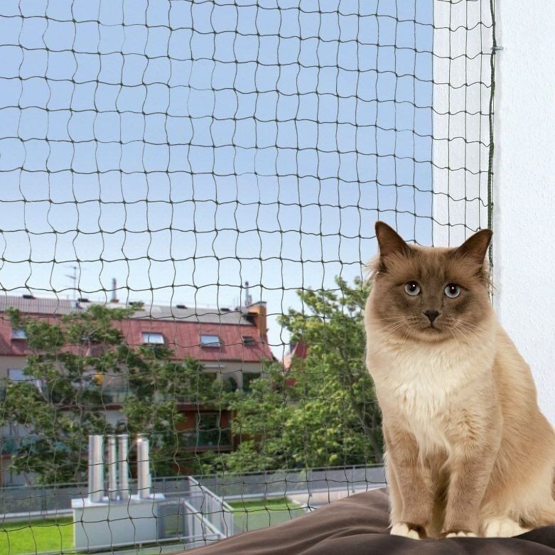 Kattnät