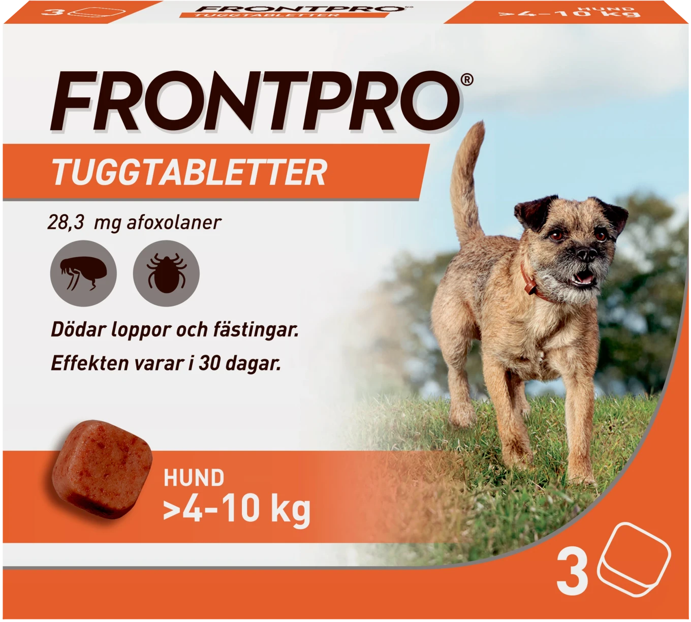FRONTPRO Tuggtabletter