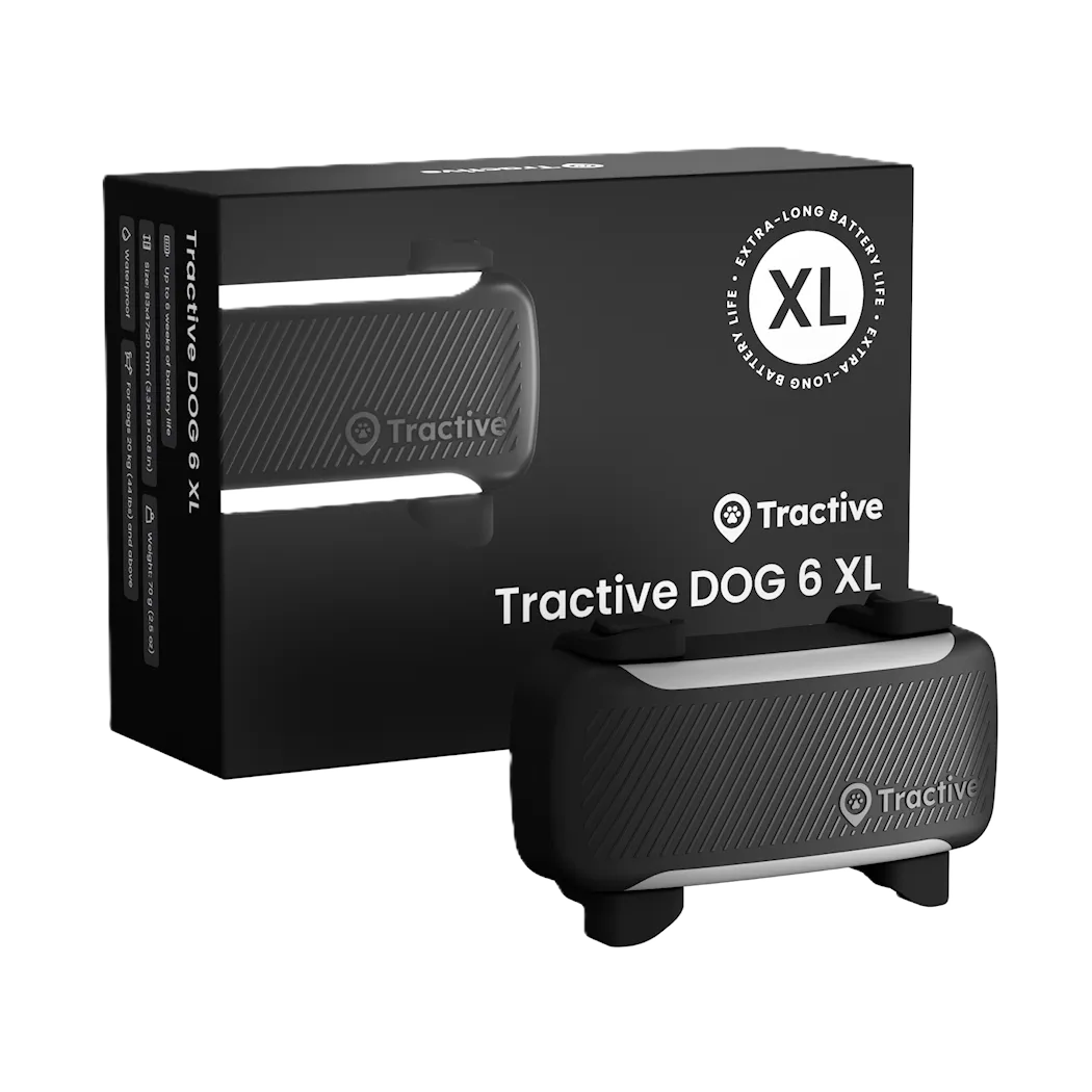 Tractive DOG 6 XL