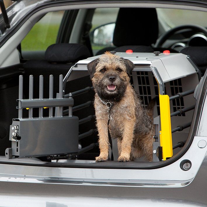 Hundbur till bil