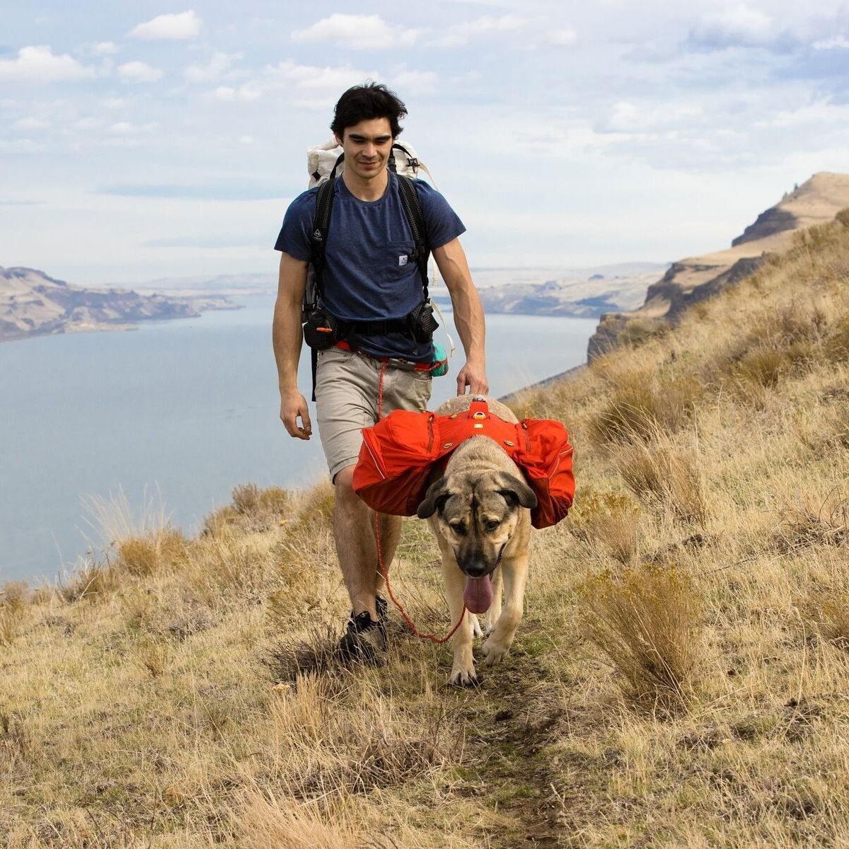 Ruffwear Palisades Pack