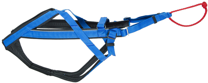 Neewa Adjustable