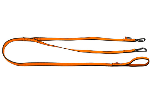 Non-stop Bungee Y-leash