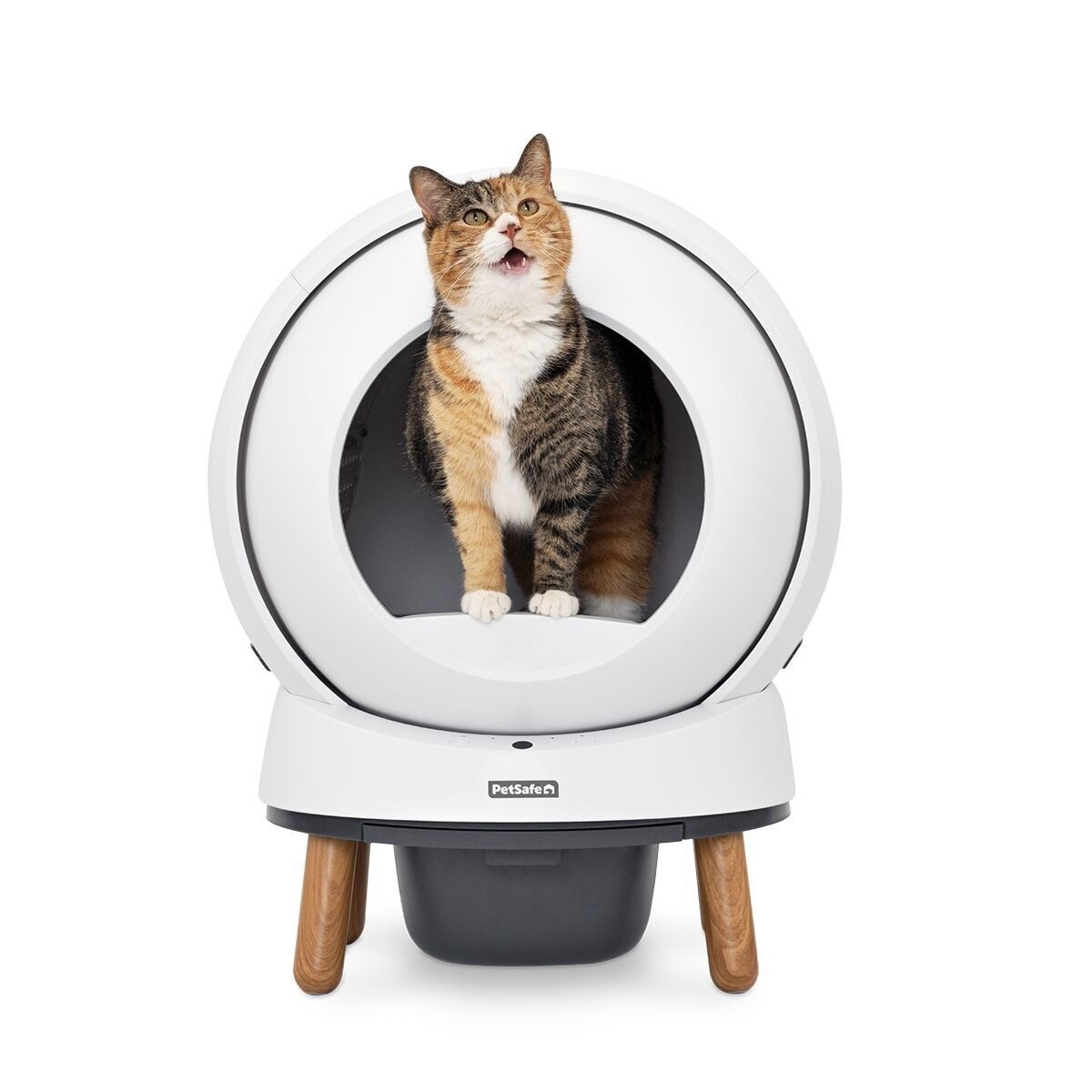 PetSafe SmartSpin