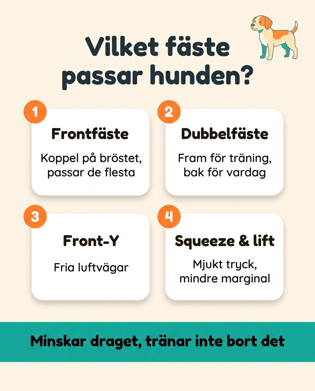 Vilket fäste passar hunden? 1: Frontfäste, koppel på bröstet, passar de flesta. 2: Dubbelfäste, fram för träning, bak för vardag. 3: Front-Y, fria luftvägar. 4: Squeeze & lift, mjukt tryck, mindre marginal. Minskar draget, tränar inte bort det.