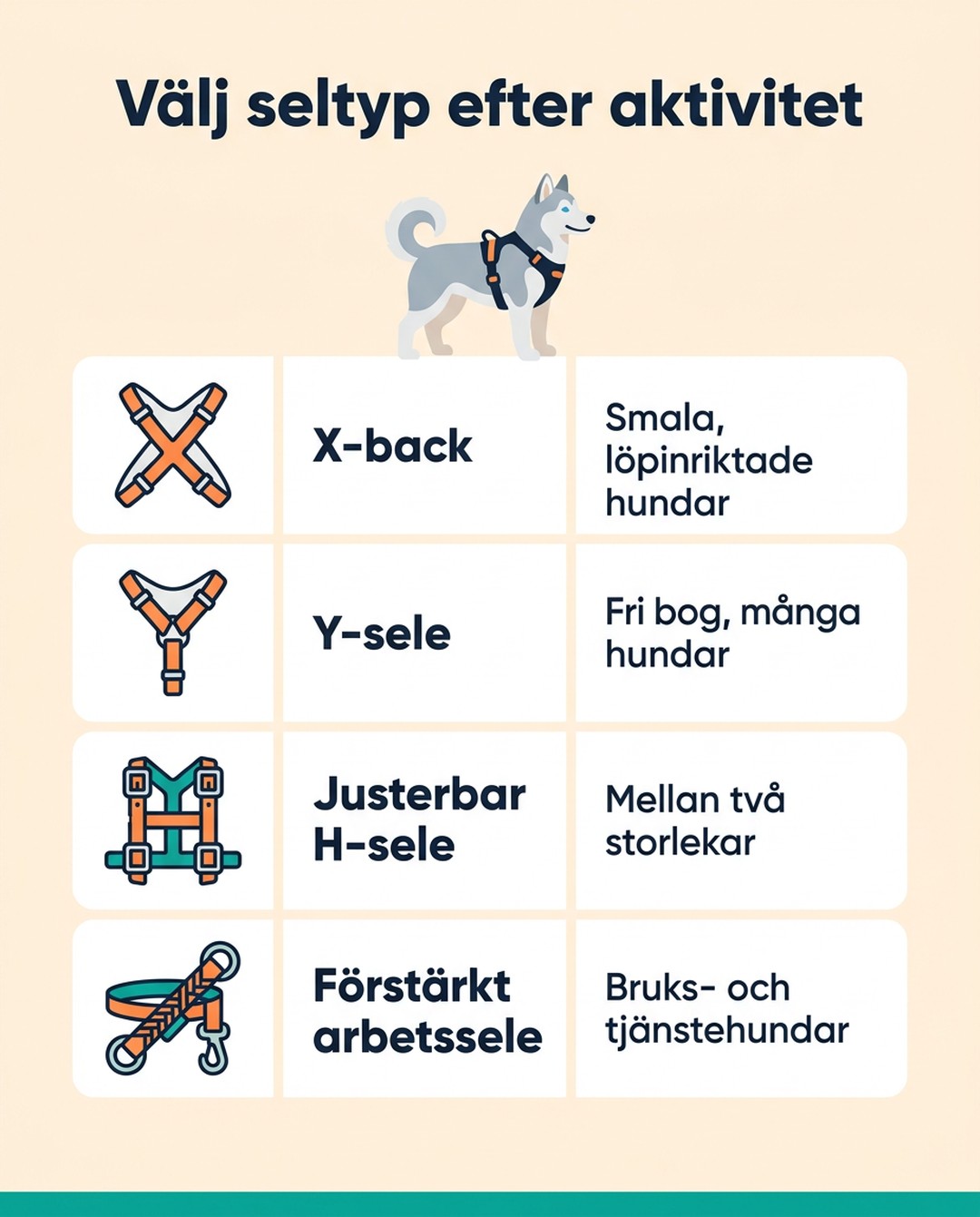 Rubrik: Välj seltyp efter aktivitet. X-back: smala, löpinriktade hundar. Y-sele: fri bog, många hundar. Justerbar H-sele: mellan två storlekar. Förstärkt arbetssele: bruks- och tjänstehundar.
