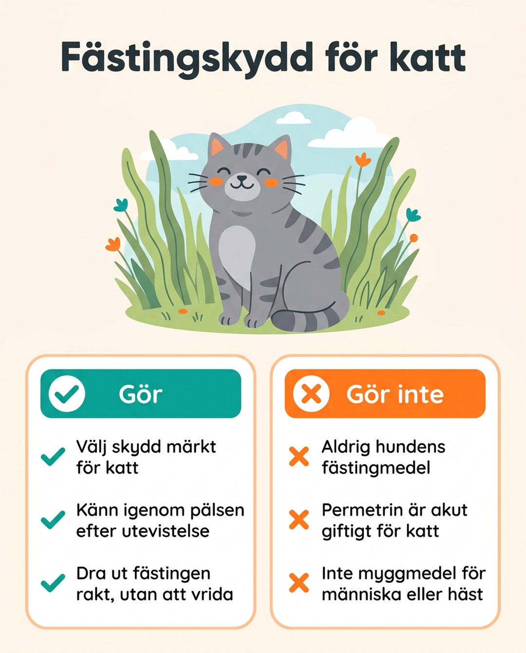 Fästingskydd för katt. Gör: välj skydd märkt för katt, känn igenom pälsen efter utevistelse, dra ut fästingen rakt, utan att vrida. Gör inte: aldrig hundens fästingmedel, permetrin är akut giftigt för katt, inte myggmedel för människa eller häst.