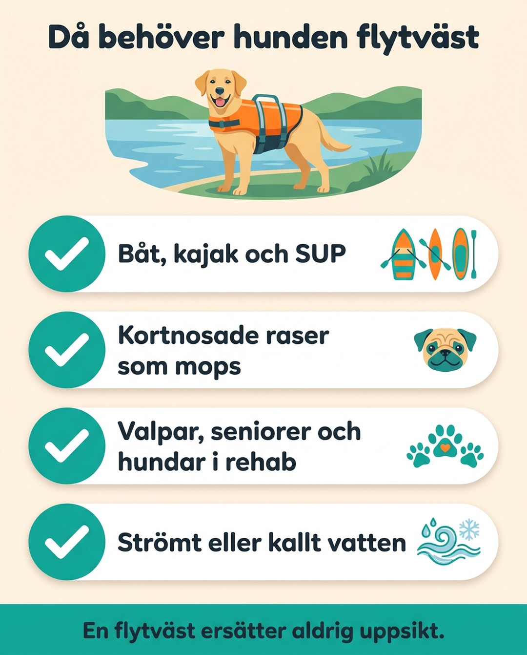 Rubrik: Då behöver hunden flytväst. Båt, kajak och SUP. Kortnosade raser som mops. Valpar, seniorer och hundar i rehab. Strömt eller kallt vatten. En flytväst ersätter aldrig uppsikt.