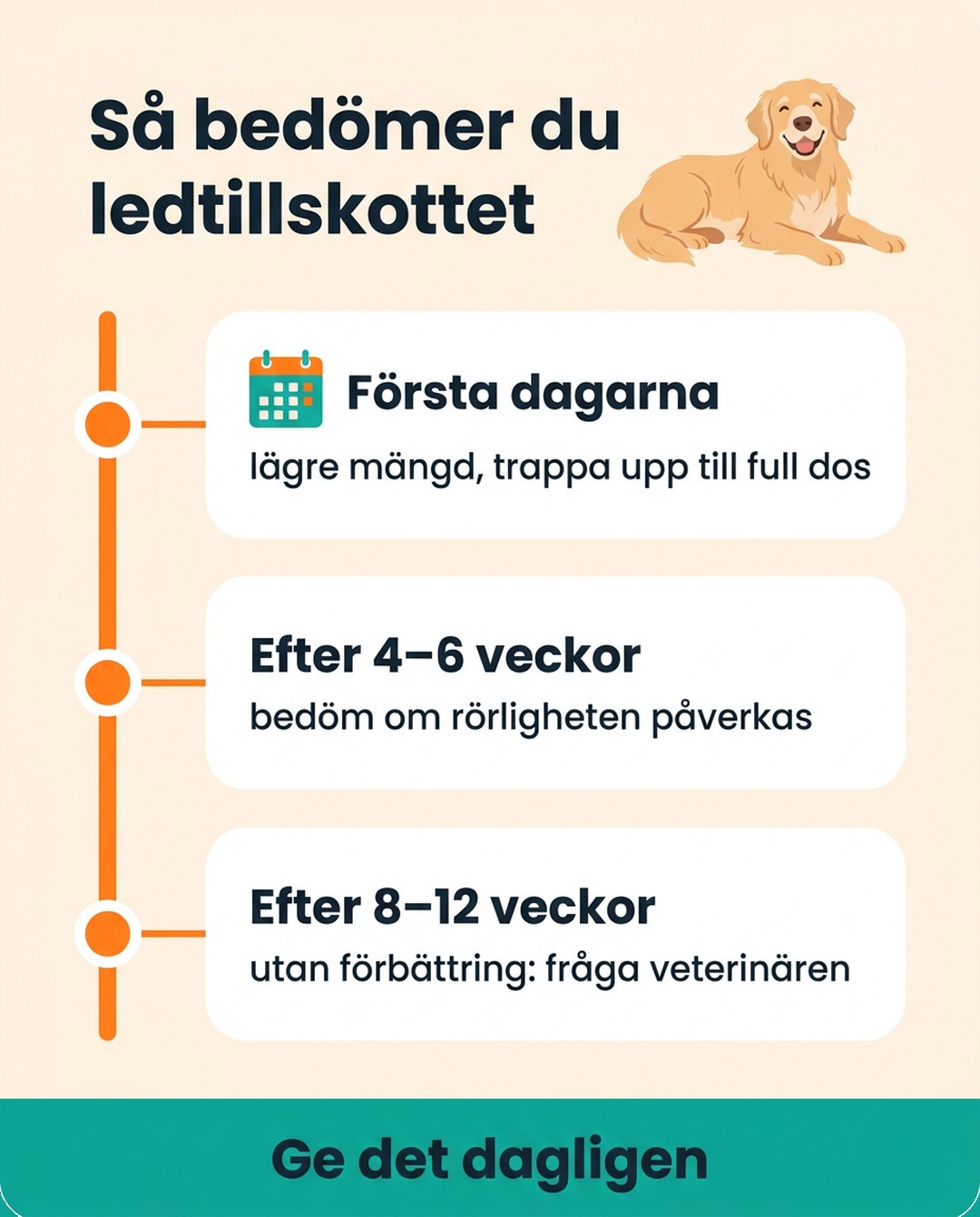 Så bedömer du ledtillskottet. Första dagarna: lägre mängd, trappa upp till full dos. Efter 4–6 veckor: bedöm om rörligheten påverkas. Efter 8–12 veckor utan förbättring: fråga veterinären. Ge det dagligen.