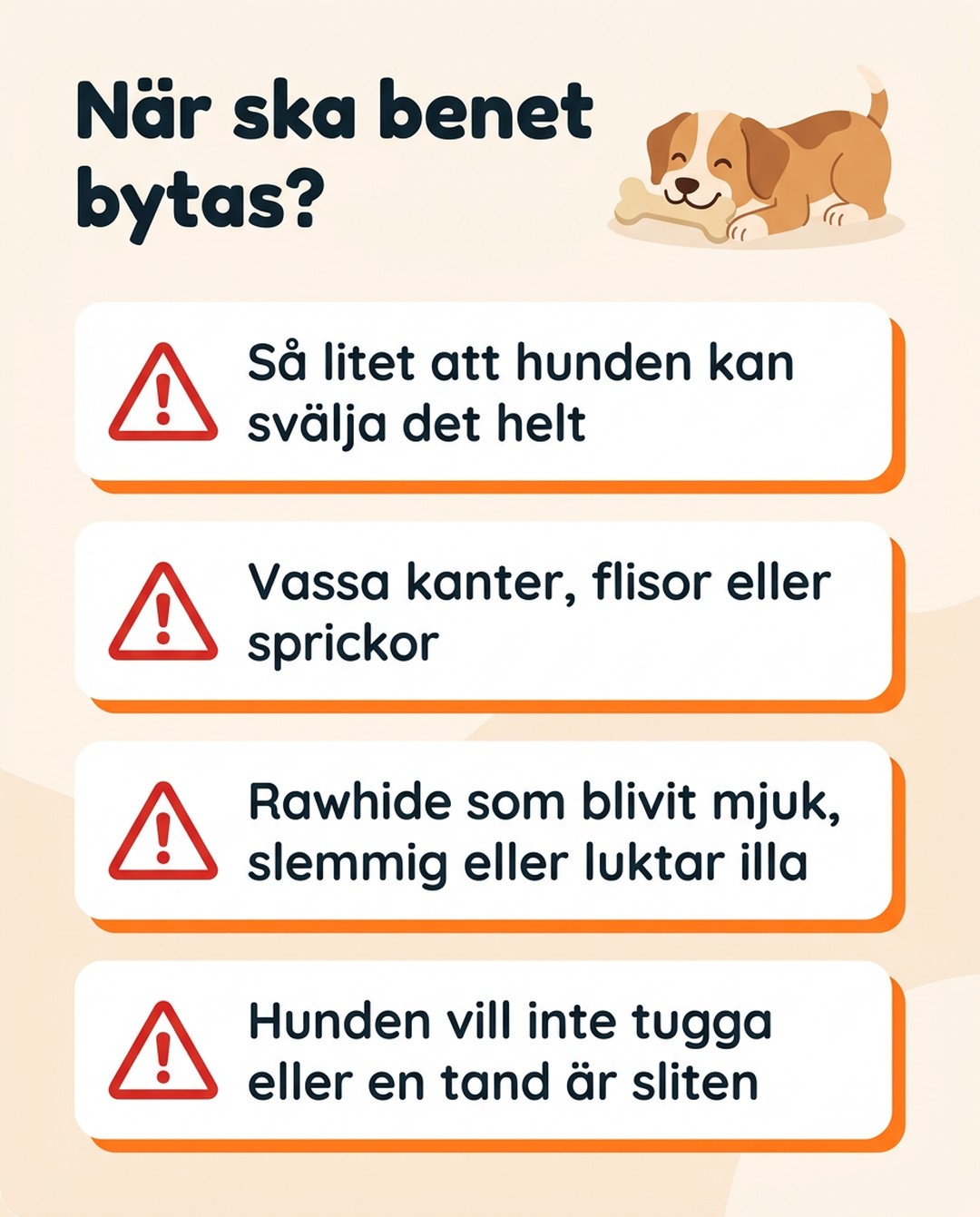 När ska benet bytas? Byt när benet är så litet att hunden kan svälja det helt, när det har vassa kanter, flisor eller sprickor, när rawhide blivit mjuk, slemmig eller luktar illa, eller när hunden inte vill tugga eller en tand är sliten.