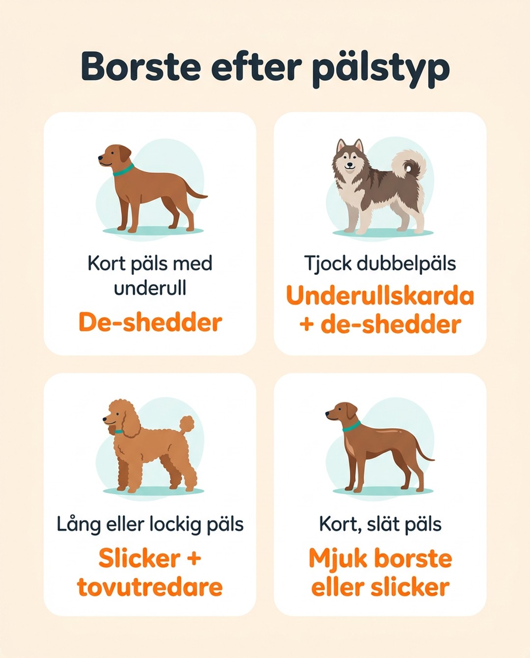 Borste efter pälstyp. Kort päls med underull: de-shedder. Tjock dubbelpäls: underullskarda och de-shedder. Lång eller lockig päls: slicker och tovutredare. Kort, slät päls: mjuk borste eller slicker.
