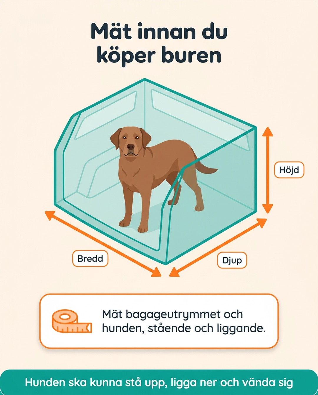 Mät innan du köper buren. Bredd, djup och höjd i bagageutrymmet. Mät bagageutrymmet och hunden, stående och liggande. Hunden ska kunna stå upp, ligga ner och vända sig.