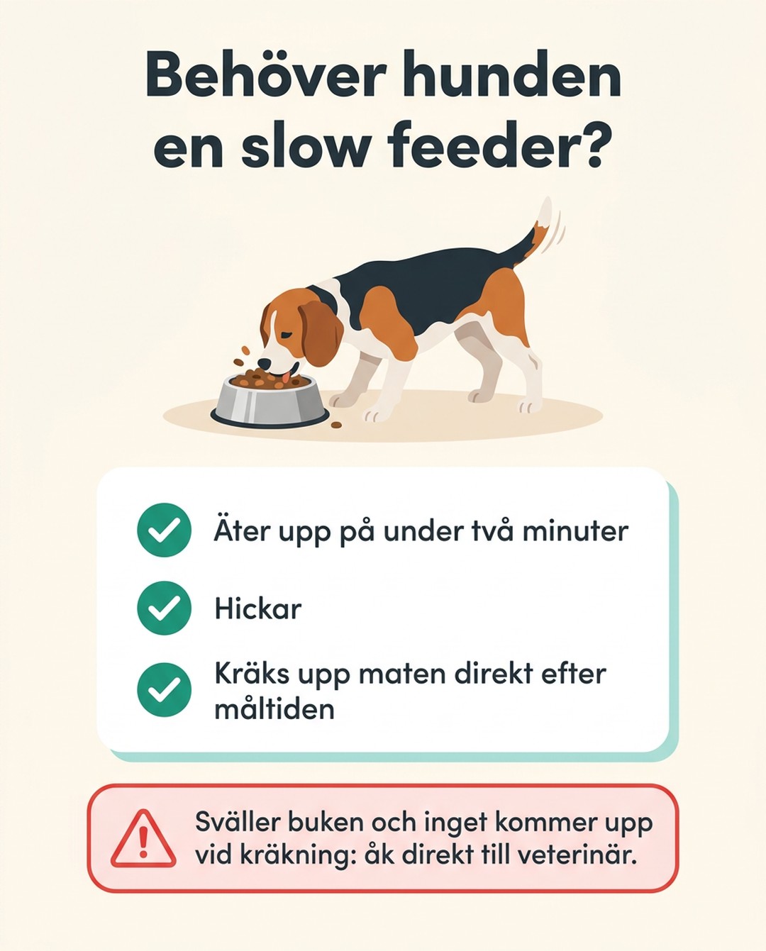 Behöver hunden en slow feeder? Äter upp på under två minuter. Hickar. Kräks upp maten direkt efter måltiden. Sväller buken och inget kommer upp vid kräkning: åk direkt till veterinär.