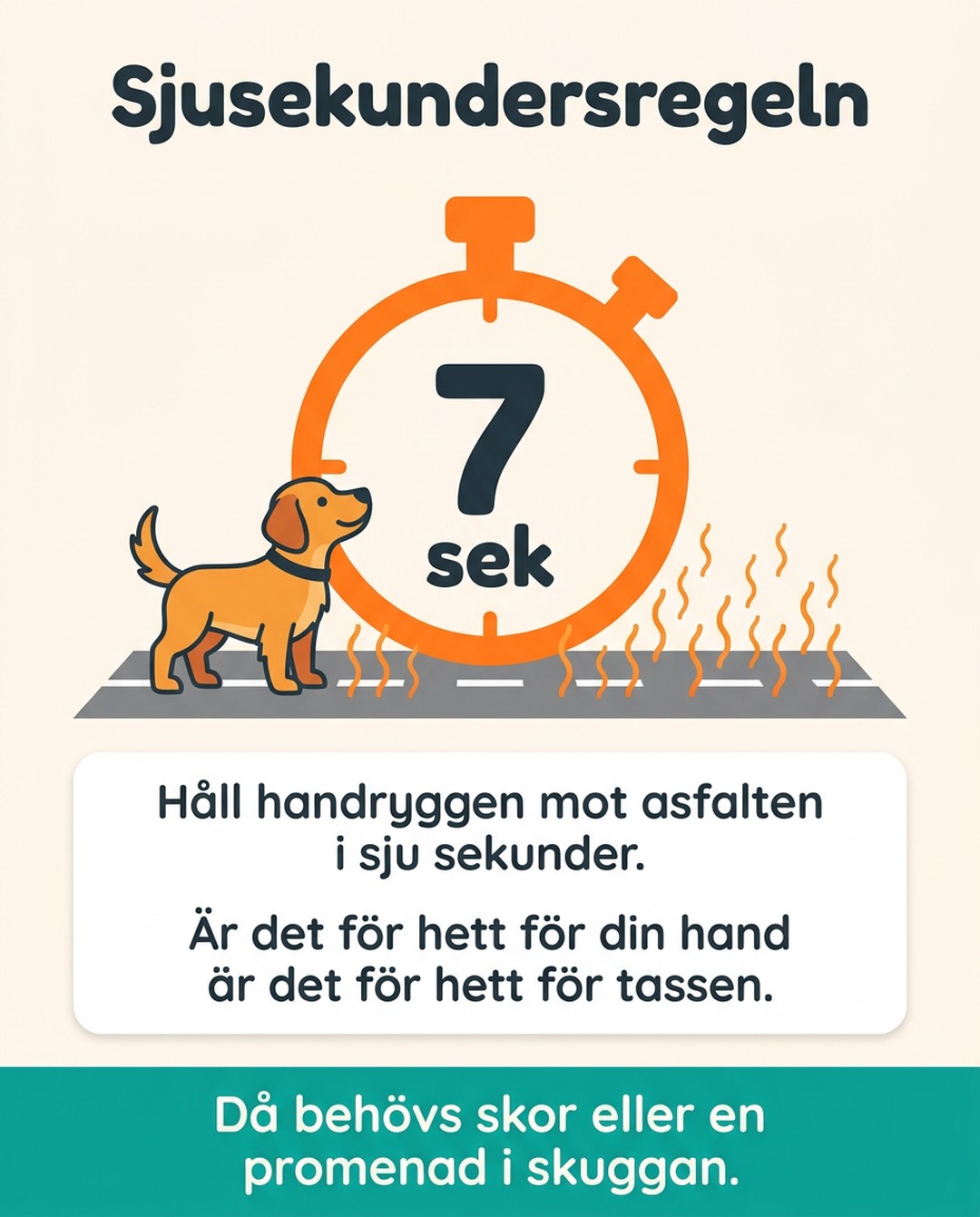 Sjusekundersregeln. 7 sek. Håll handryggen mot asfalten i sju sekunder. Är det för hett för din hand är det för hett för tassen. Då behövs skor eller en promenad i skuggan.