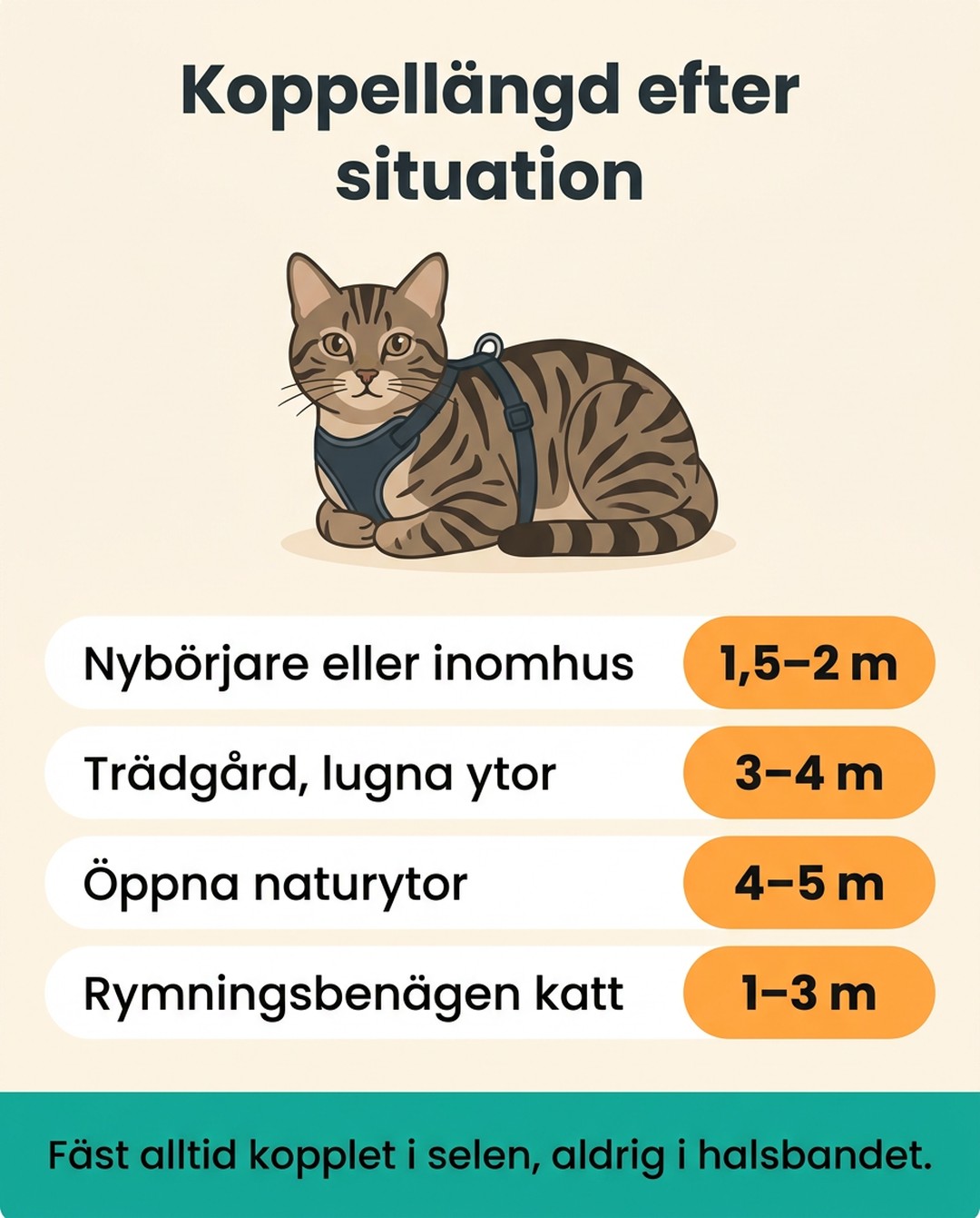 Koppellängd efter situation. Nybörjare eller inomhus: 1,5–2 m. Trädgård, lugna ytor: 3–4 m. Öppna naturytor: 4–5 m. Rymningsbenägen katt: 1–3 m. Fäst alltid kopplet i selen, aldrig i halsbandet.