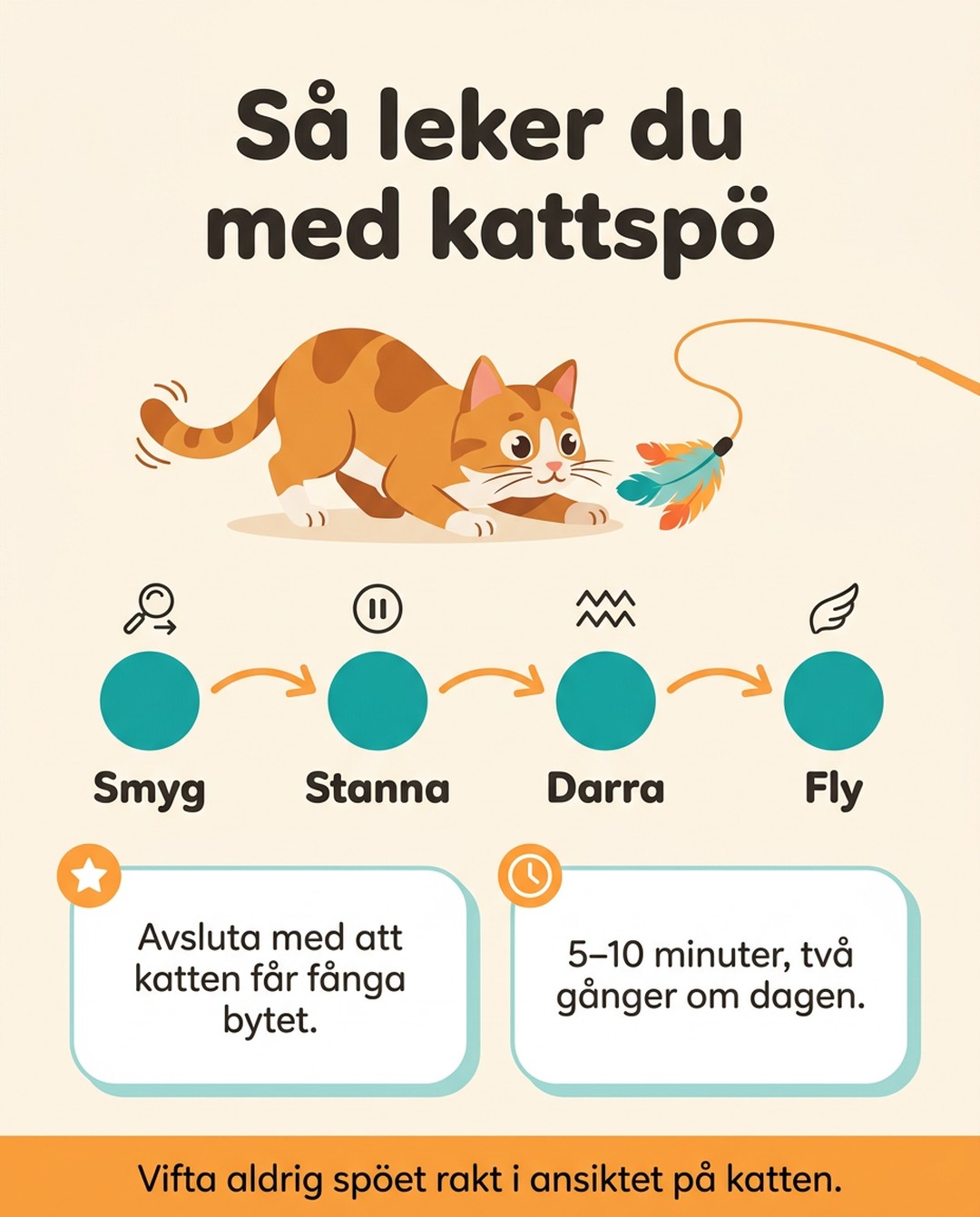 Så leker du med kattspö. Smyg, stanna, darra, fly. Avsluta med att katten får fånga bytet. 5–10 minuter, två gånger om dagen. Vifta aldrig spöet rakt i ansiktet på katten.