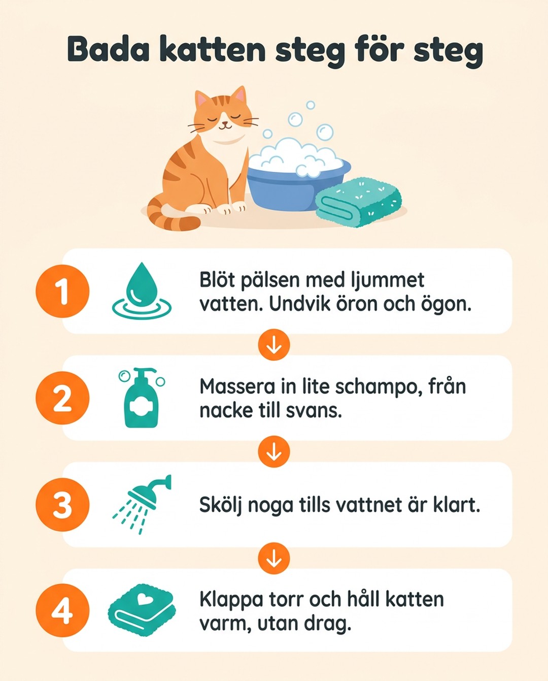 Bada katten steg för steg. 1: Blöt pälsen med ljummet vatten. Undvik öron och ögon. 2: Massera in lite schampo, från nacke till svans. 3: Skölj noga tills vattnet är klart. 4: Klappa torr och håll katten varm, utan drag.