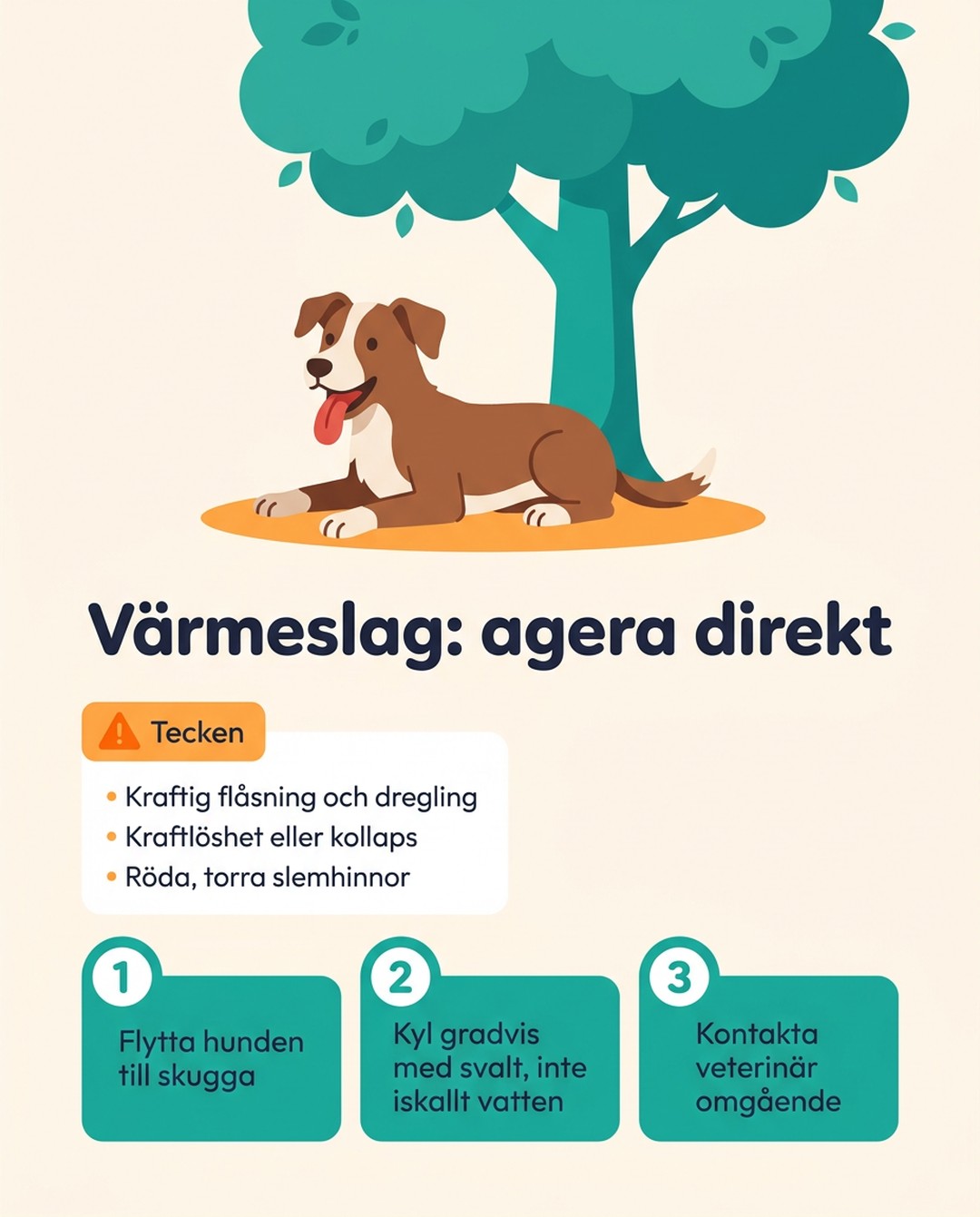 Värmeslag: agera direkt. Tecken: kraftig flåsning och dregling, kraftlöshet eller kollaps, röda, torra slemhinnor. 1 Flytta hunden till skugga. 2 Kyl gradvis med svalt, inte iskallt vatten. 3 Kontakta veterinär omgående.