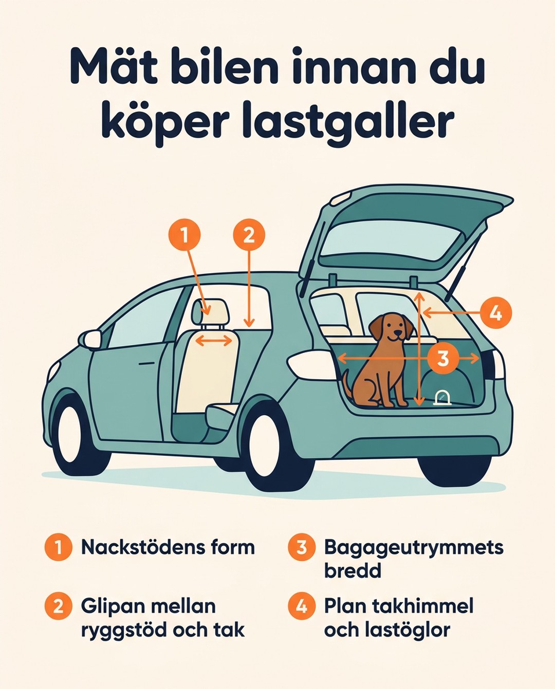 Mät bilen innan du köper lastgaller. 1 Nackstödens form. 2 Glipan mellan ryggstöd och tak. 3 Bagageutrymmets bredd. 4 Plan takhimmel och lastöglor.