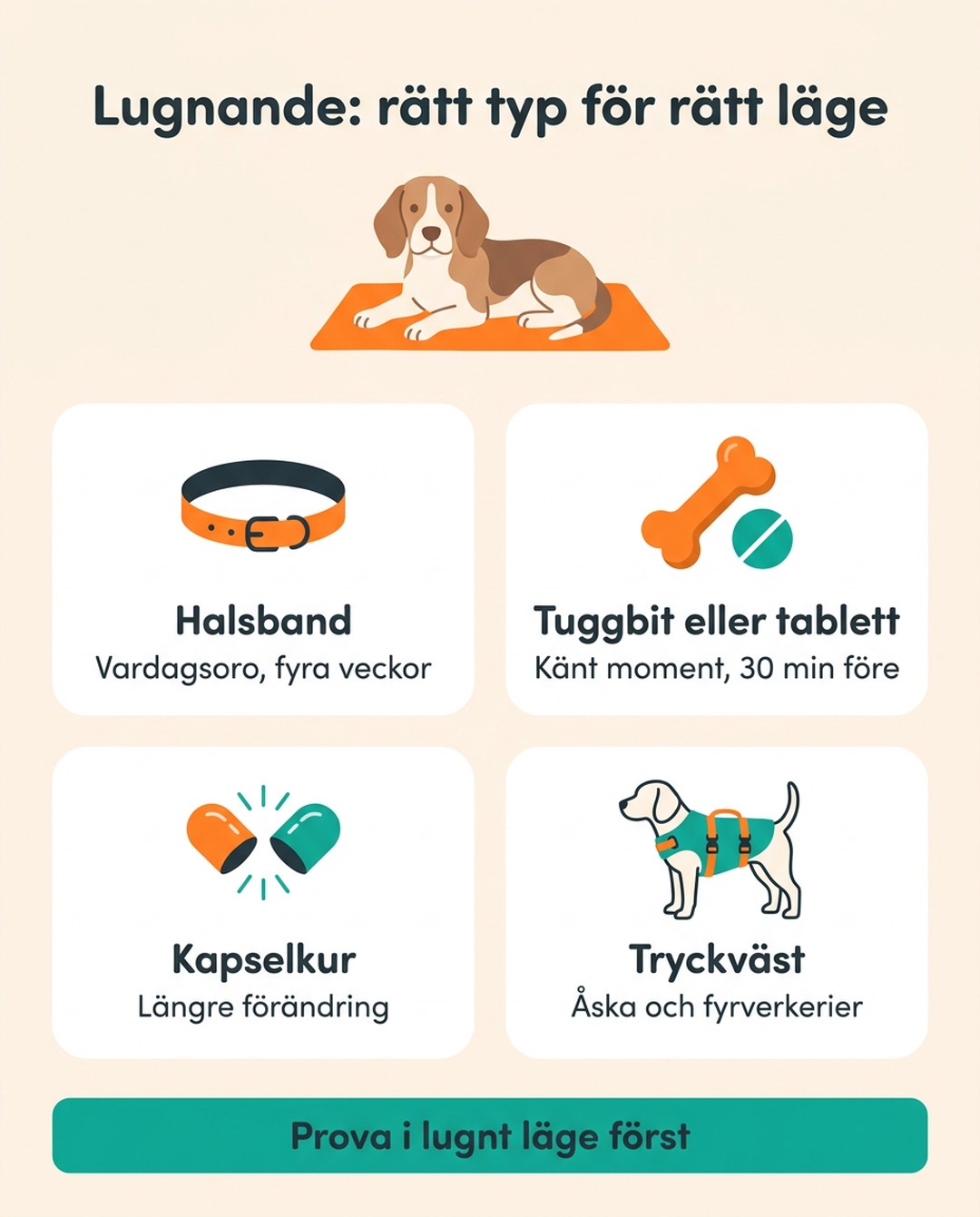 Lugnande: rätt typ för rätt läge. Halsband: vardagsoro, fyra veckor. Tuggbit eller tablett: känt moment, 30 minuter före. Kapselkur: längre förändring. Tryckväst: åska och fyrverkerier. Prova i lugnt läge först.