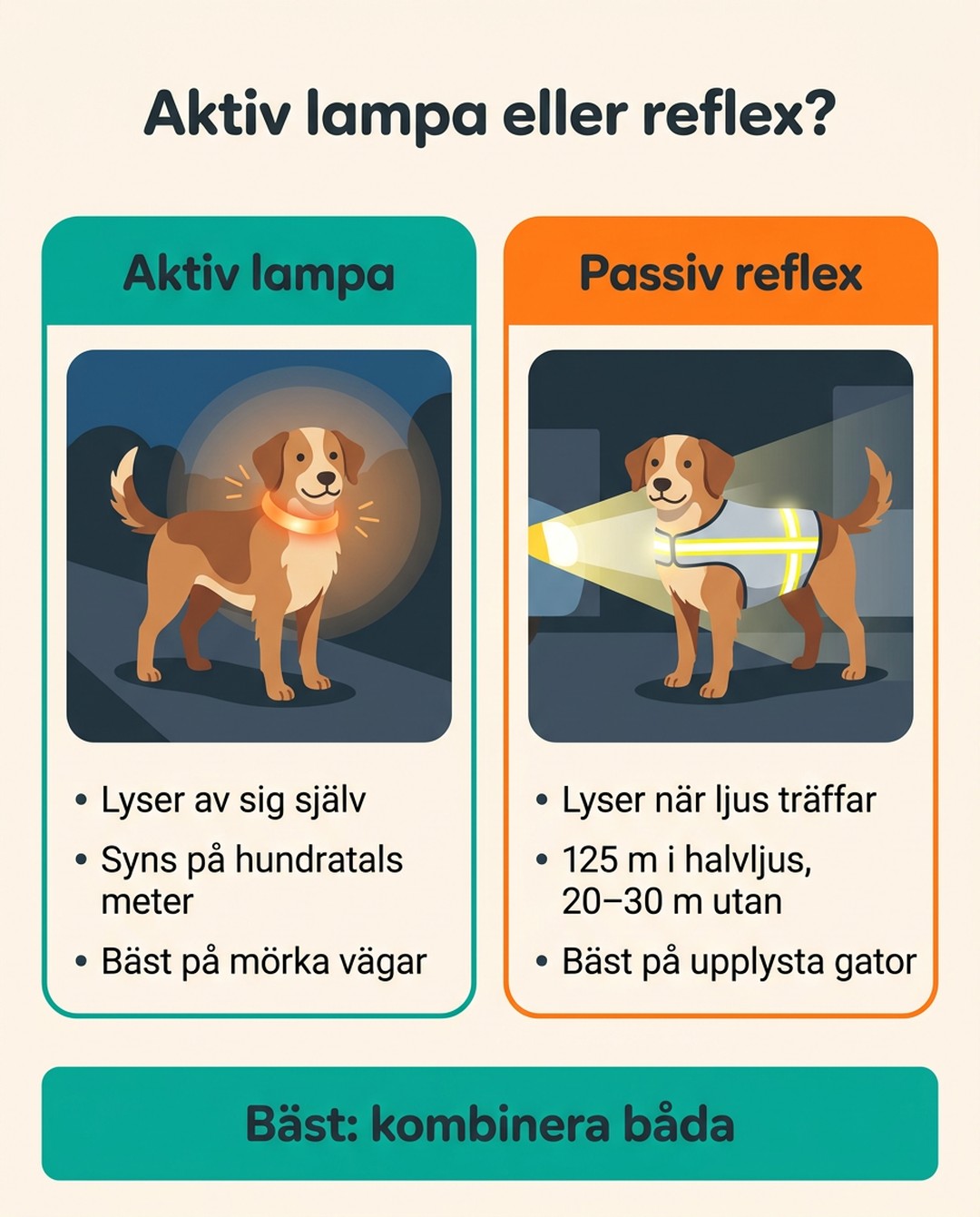 Aktiv lampa eller reflex? Aktiv lampa: lyser av sig själv, syns på hundratals meter, bäst på mörka vägar. Passiv reflex: lyser när ljus träffar, 125 m i halvljus och 20–30 m utan, bäst på upplysta gator. Bäst: kombinera båda.