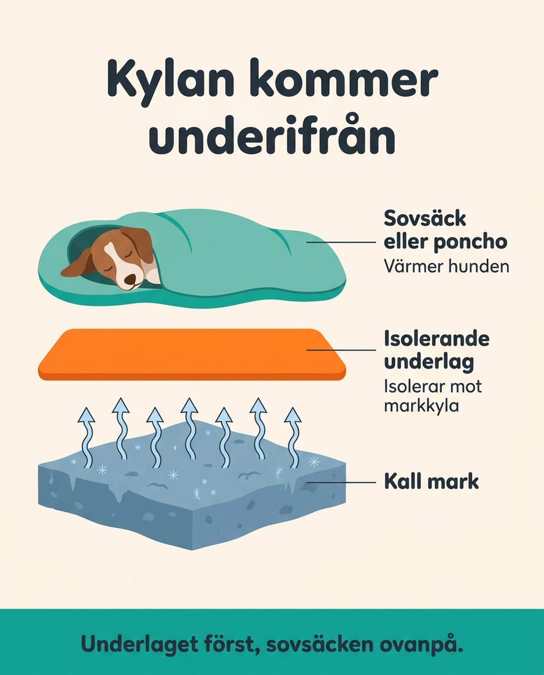 Kylan kommer underifrån. Sovsäck eller poncho. Värmer hunden. Isolerande underlag. Isolerar mot markkyla. Kall mark. Underlaget först, sovsäcken ovanpå.
