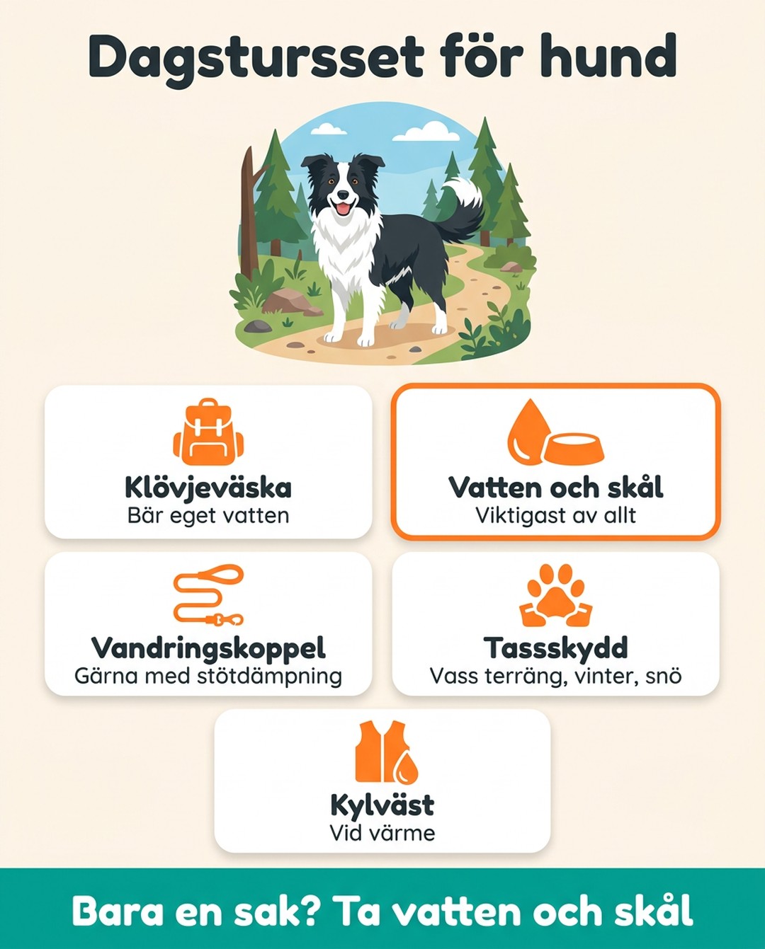 Dagstursset för hund. Klövjeväska: bär eget vatten. Vatten och skål: viktigast av allt. Vandringskoppel: gärna med stötdämpning. Tassskydd: vass terräng, vinter, snö. Kylväst: vid värme. Bara en sak? Ta vatten och skål.