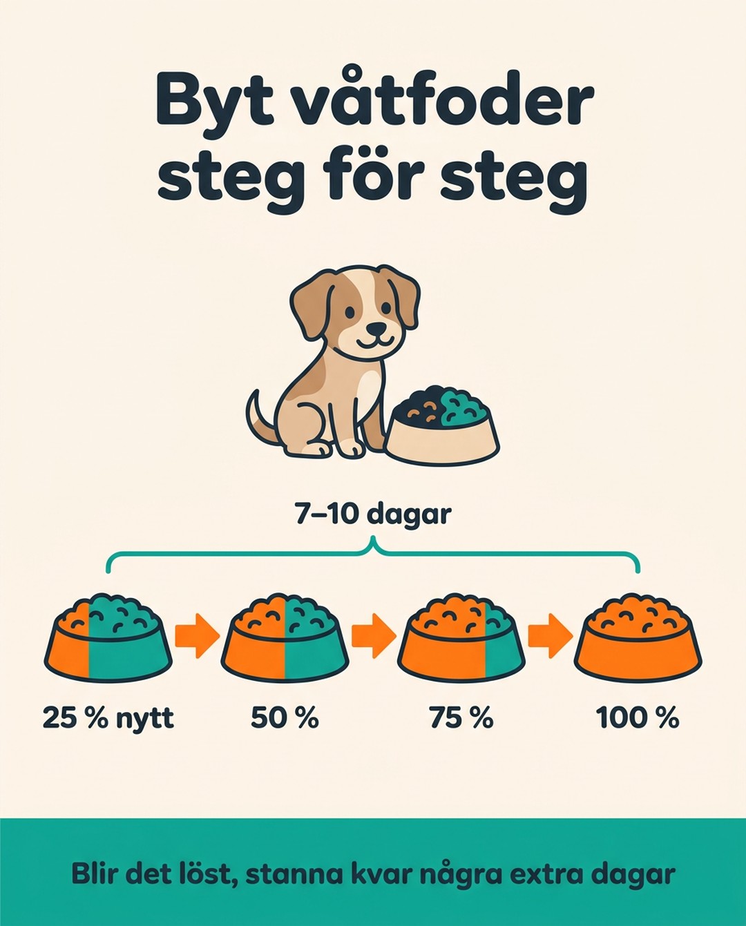 Byt våtfoder steg för steg. Över 7–10 dagar blandar du in 25 procent nytt foder, sedan 50, 75 och till sist 100 procent. Blir det löst, stanna kvar några extra dagar.