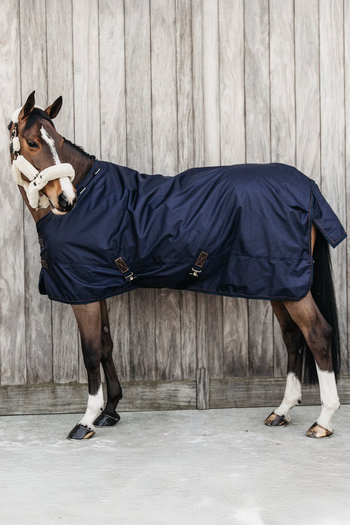 Kentucky All Weather Waterproof Pro 300 g