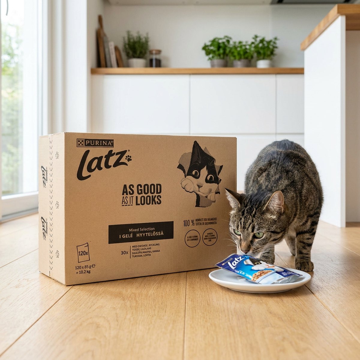 Latz As Good As It Looks stor kartongförpackning på köksgolv med en katt som äter geléportion ur en tallrik