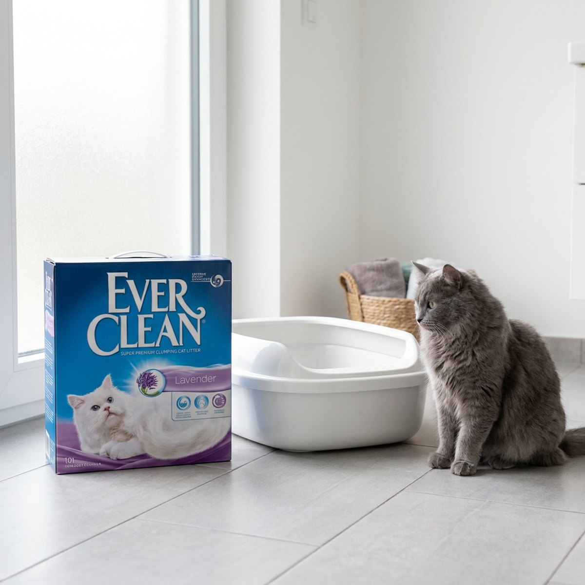 Kattsand