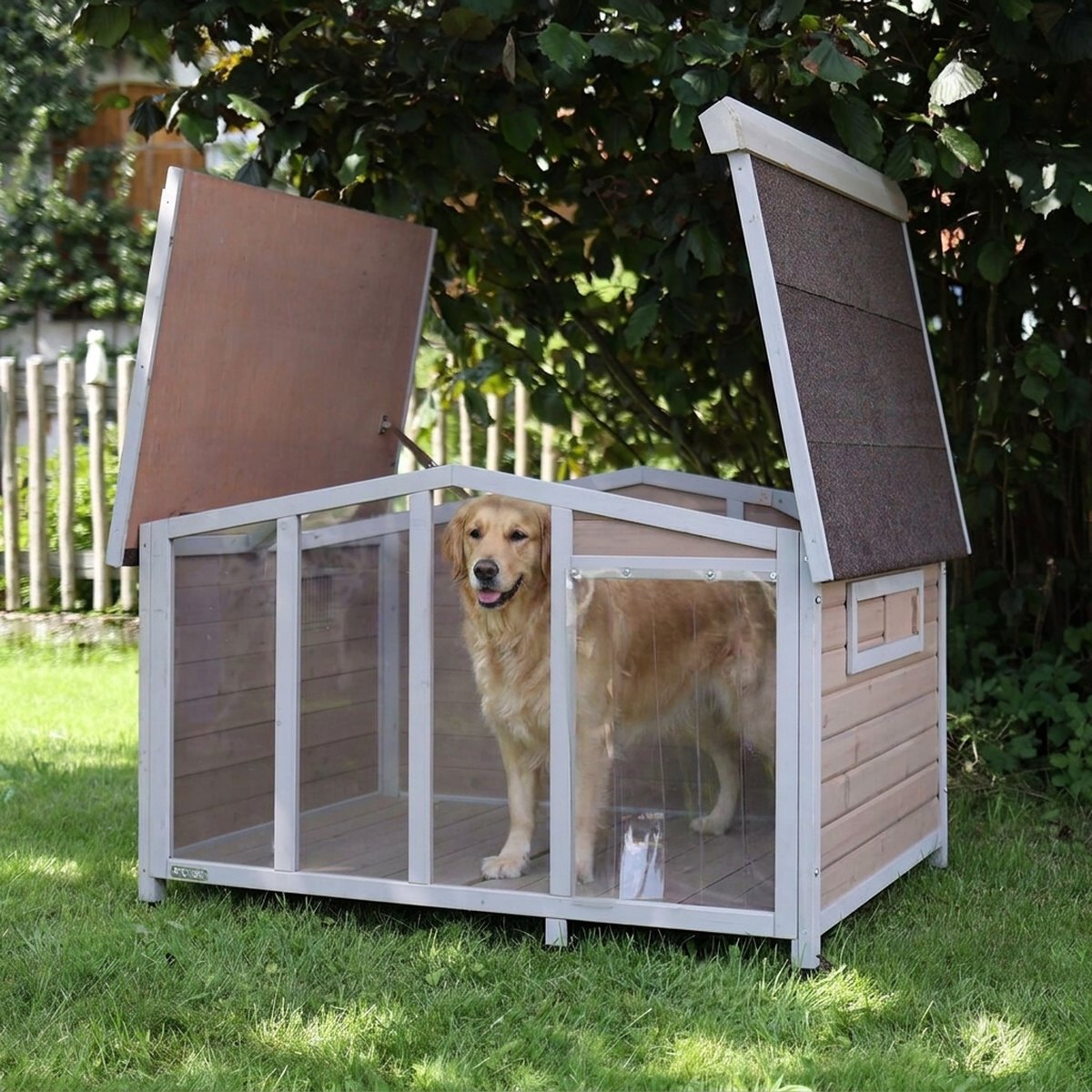 Kerbl Overview hundgårdskoja med plexiglasvägg och öppningsbart tak med en golden retriever inuti på gräsmatta