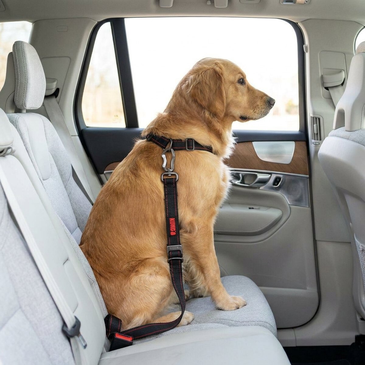 Hund i bilbaksätet med svart KONG Deluxe Swivel bilbälte med röda accenter och 360-graders svivel