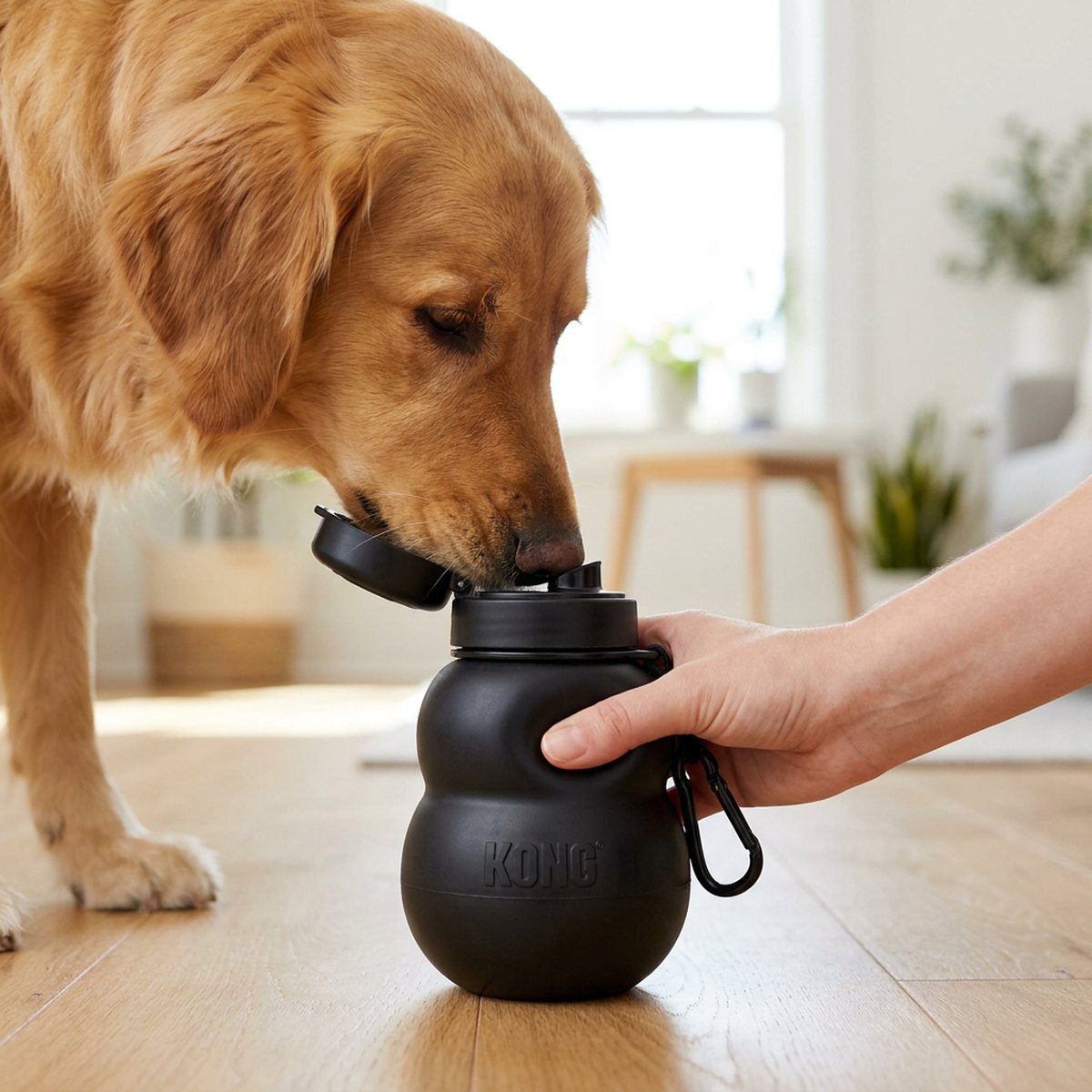 Vattenflaska till hund