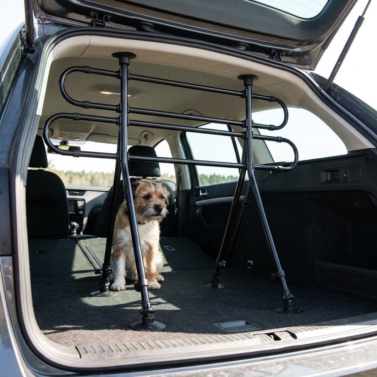 Svart vinklat bilgaller Trixie Vinklat monterat mellan golv och tak i ett bagageutrymme, liten terrier sitter bakom gallret