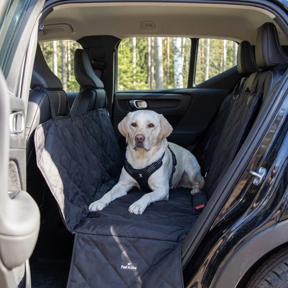 Vit labrador vilar på ett svart Feel Active bilhammockskydd uppspänt mellan fram- och baksäte i en SUV