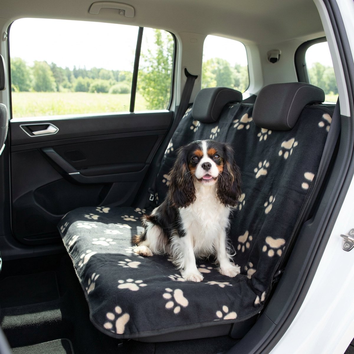 Cavalier King Charles Spaniel sitter på ett svart Trixie sätesskydd med beige tassavtrycksmönster i en bil