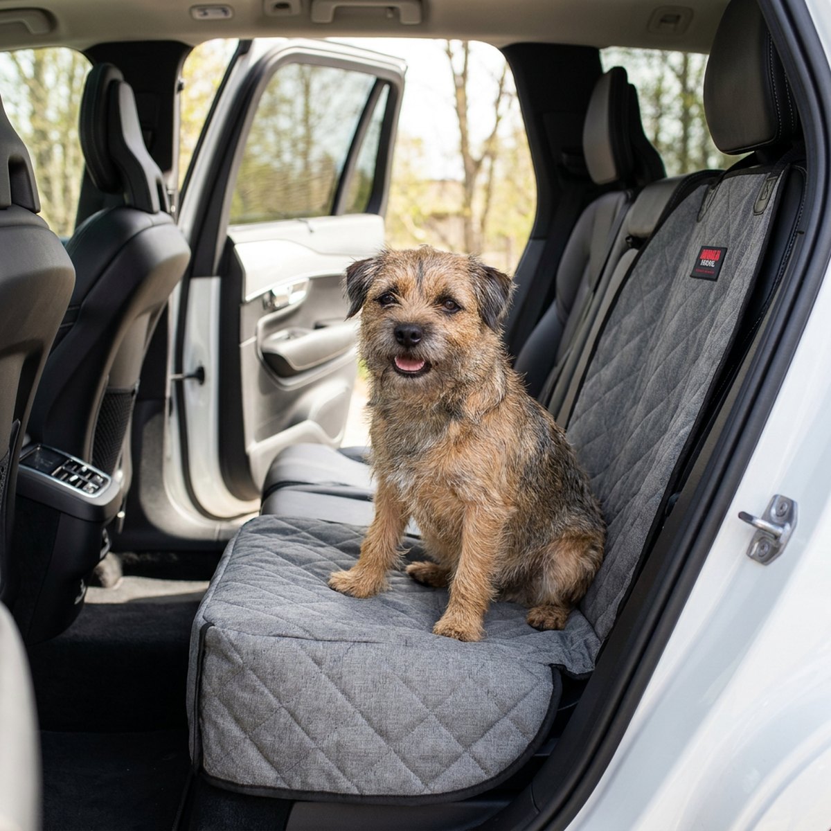 Liten terrier sitter på ett grått quiltat KONG Travel singelsätesskydd på ett enskilt baksäte i en bil