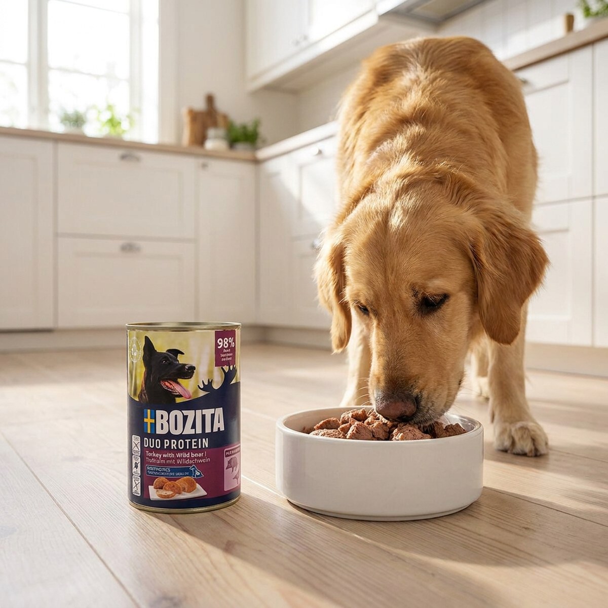 Bozita Paté-burk med kalkon och vildsvin på köksgolvet medan en golden retriever äter paté ur en skål