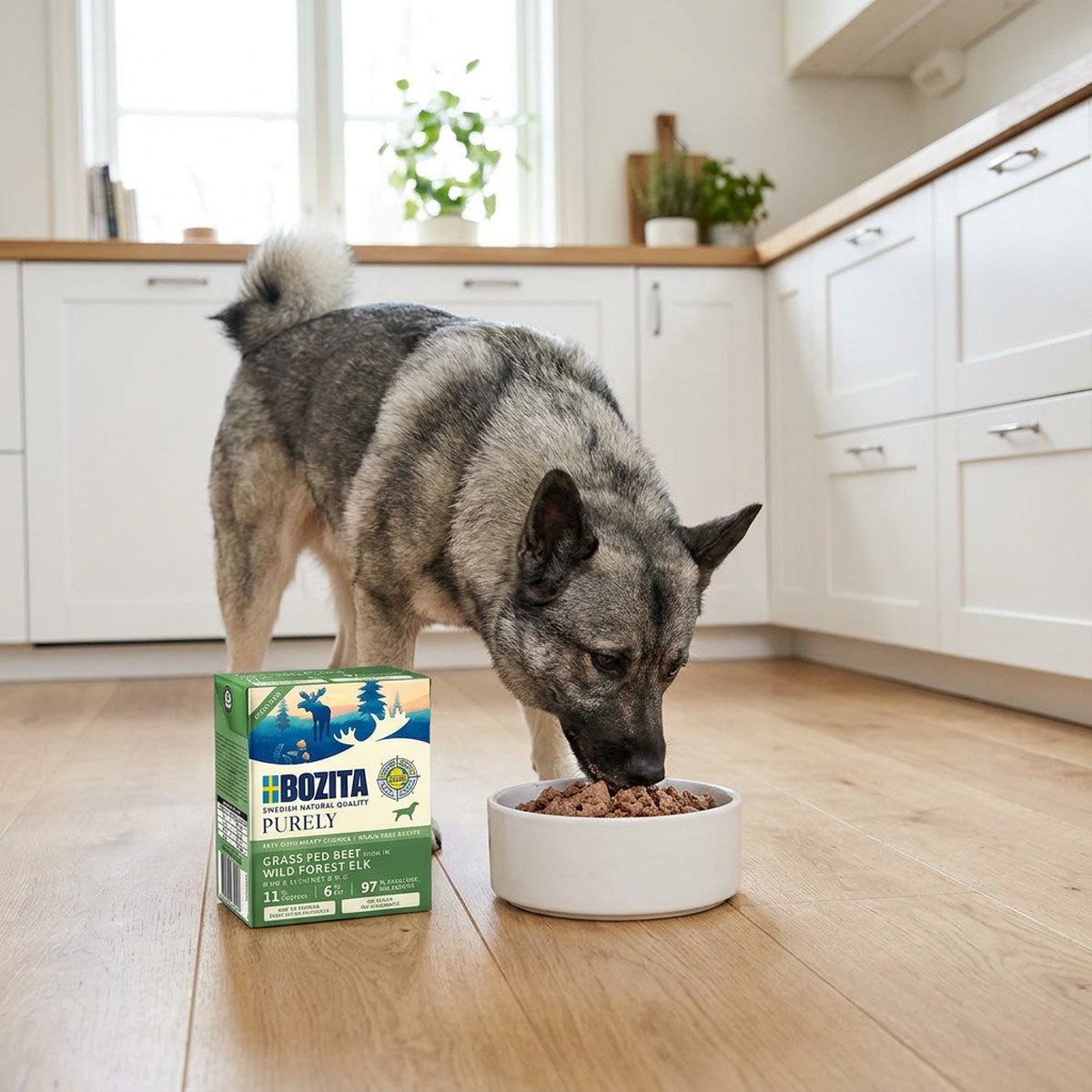 Bozita Purely Paté Elk-kartong på köksgolvet bredvid en hund som äter paté med bitar ur en skål