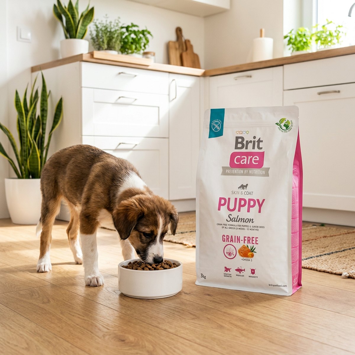 Valp äter kibble ur en vit skål bredvid en Brit Care Grain Free Puppy Salmon-säck i ett ljust nordiskt kök