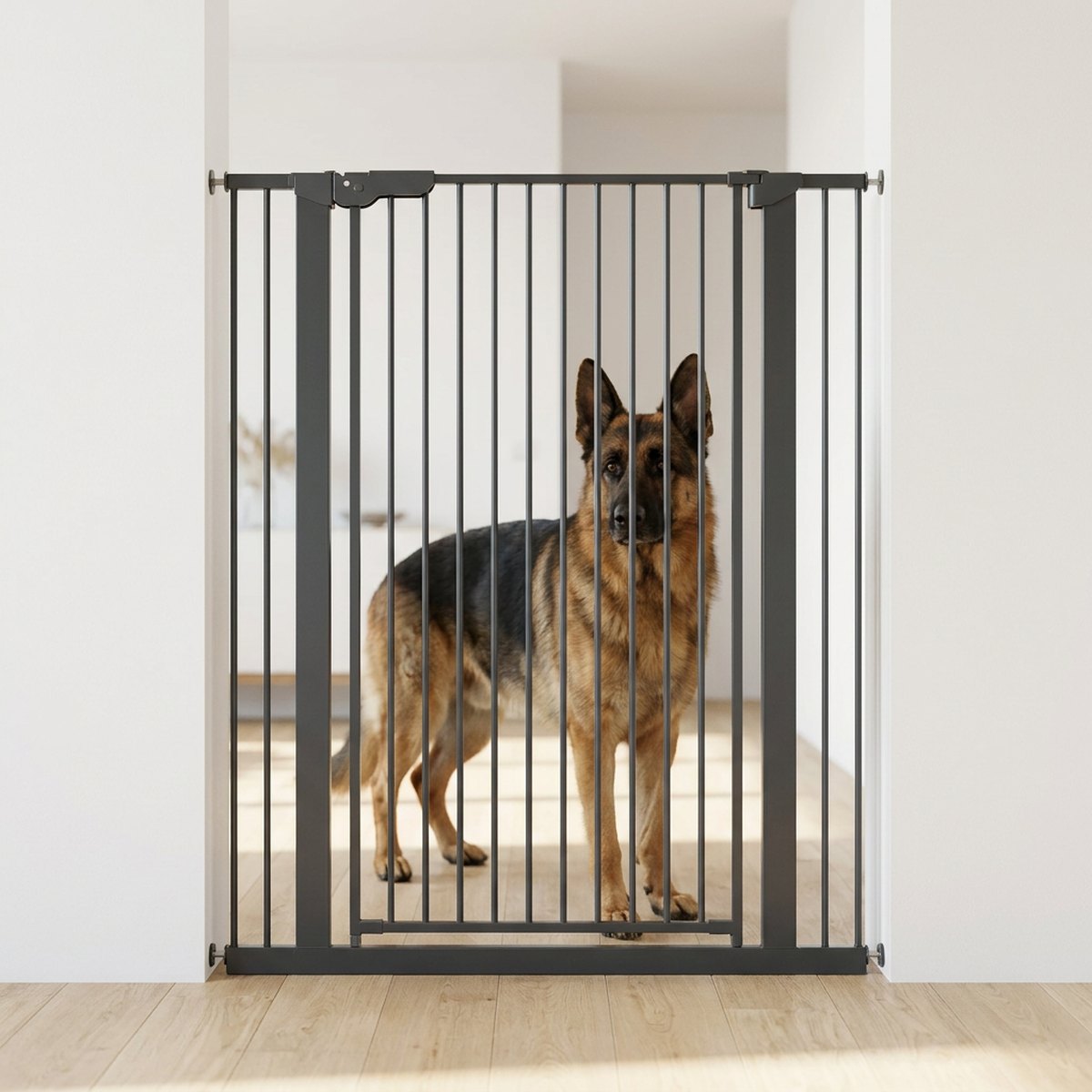 Stor schäfer bakom DogSpace Bonnie mörk stålgrind i en ljus skandinavisk dörrpost