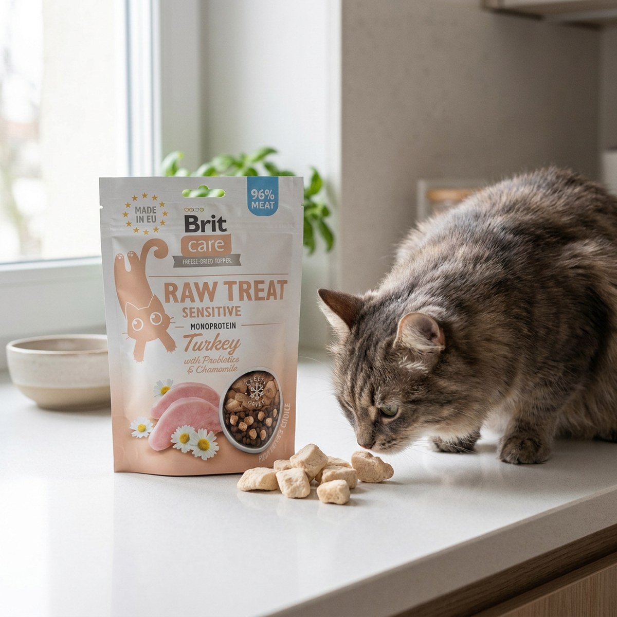 Katt nosar på frystorkade kalkonbitar bredvid påsen på en köksbänk