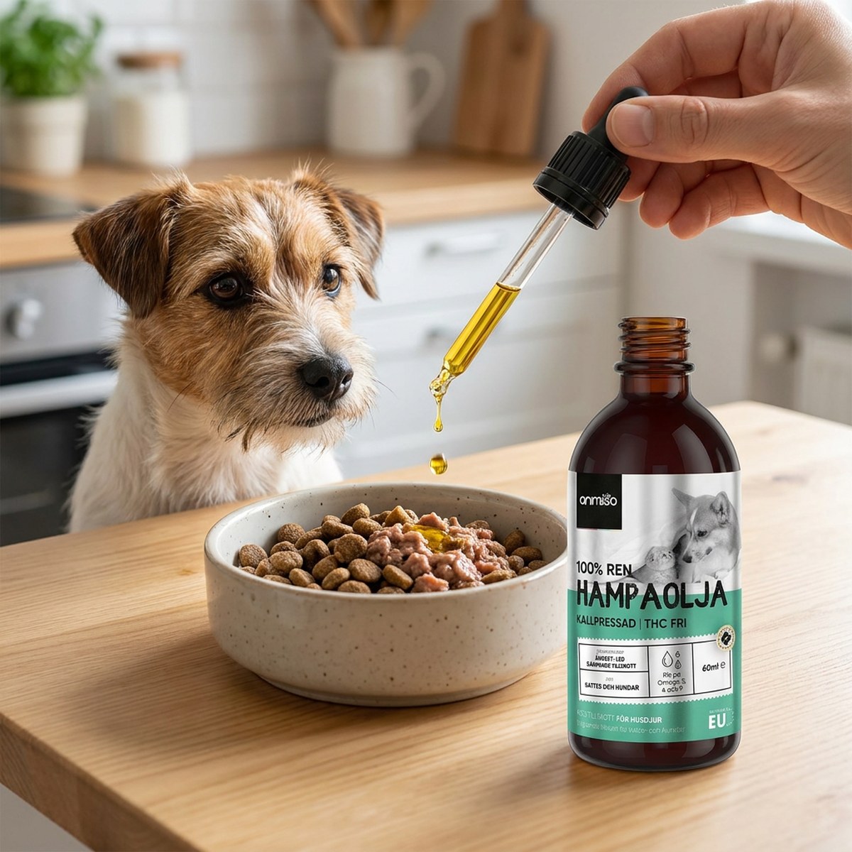 Hampaolja hund