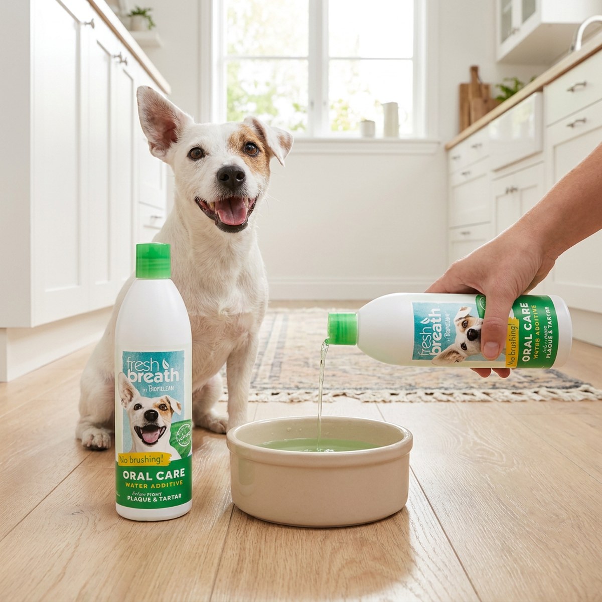 TropiClean Fresh Breath vattentillsats hälls i en glad terriers vattenskål i ett ljust kök