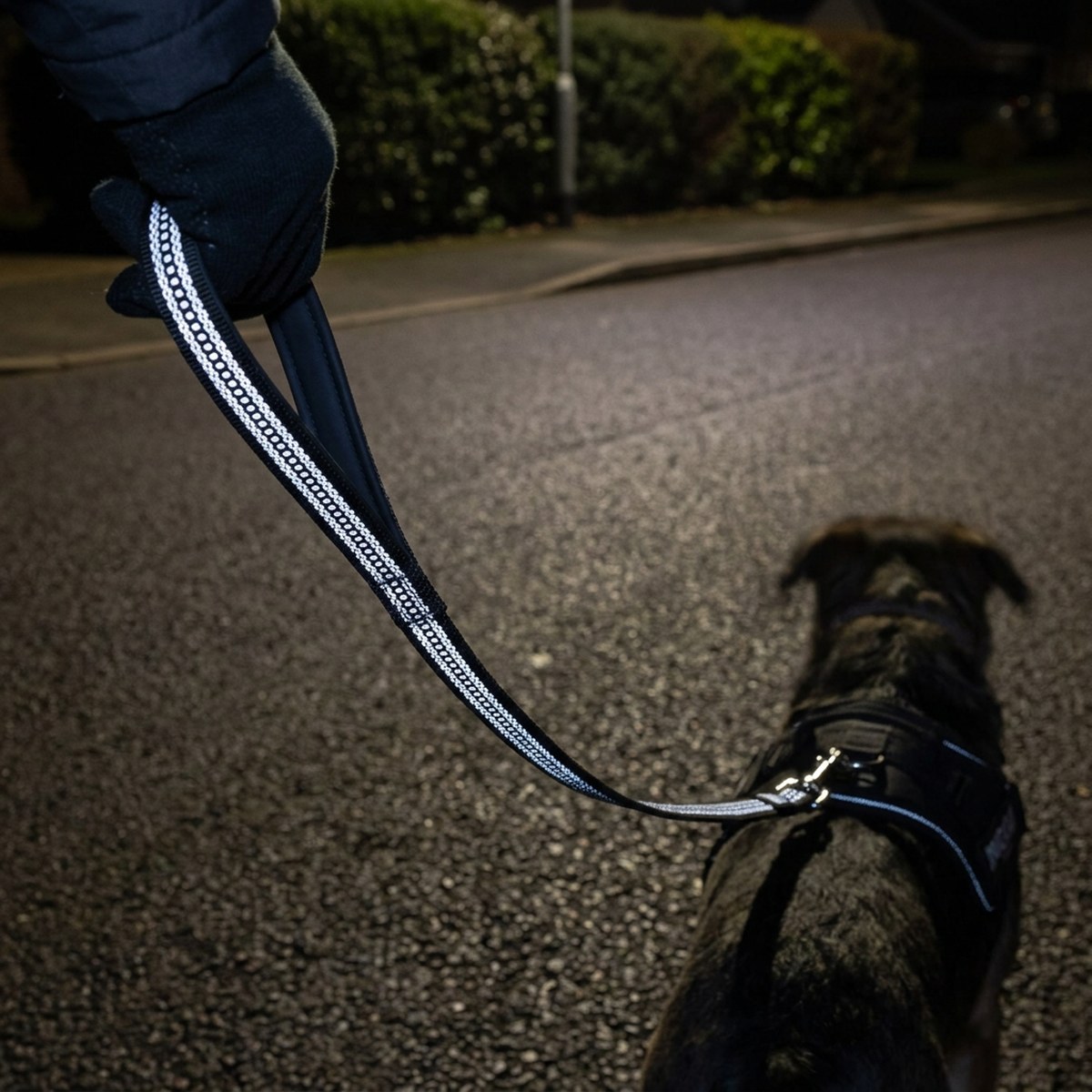 Hand som håller Pro Dog Grip reflexkoppel i mörker, reflextråden blänker i billyktor och kopplet går till hundens sele