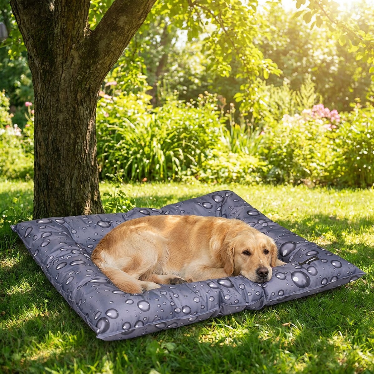 Golden retriever vilar i en grå kylbädd med robusta kanter under ett träd i sommarträdgården