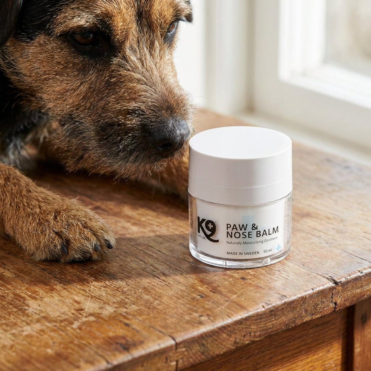 Vit glasburk med vitt lock står på ett träbord bredvid nosen och framtassen på en lugn border terrier